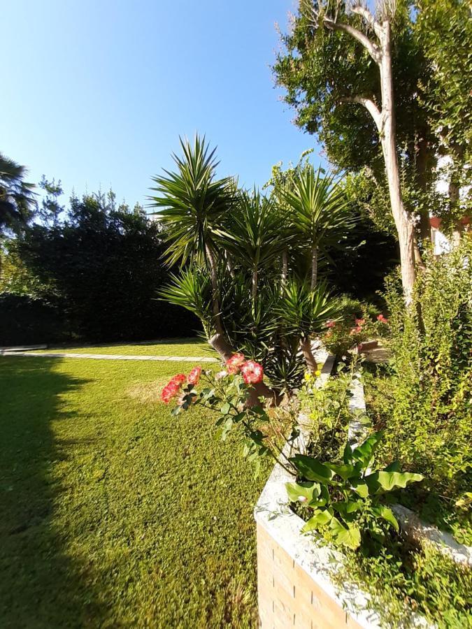 Bed and Breakfast La Gran Dama Roseto Degli Abruzzi Exterior foto